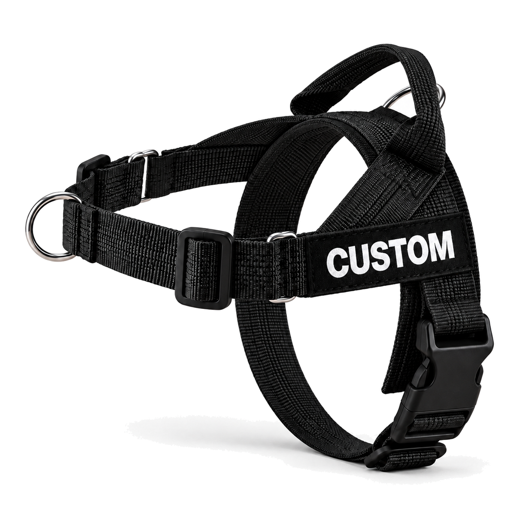No-Pull Dog Harness with Front & Back Clip, Grab Handle and Quick-Release Buckle