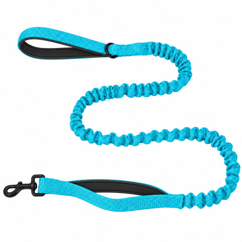 Bungee Dog Leash