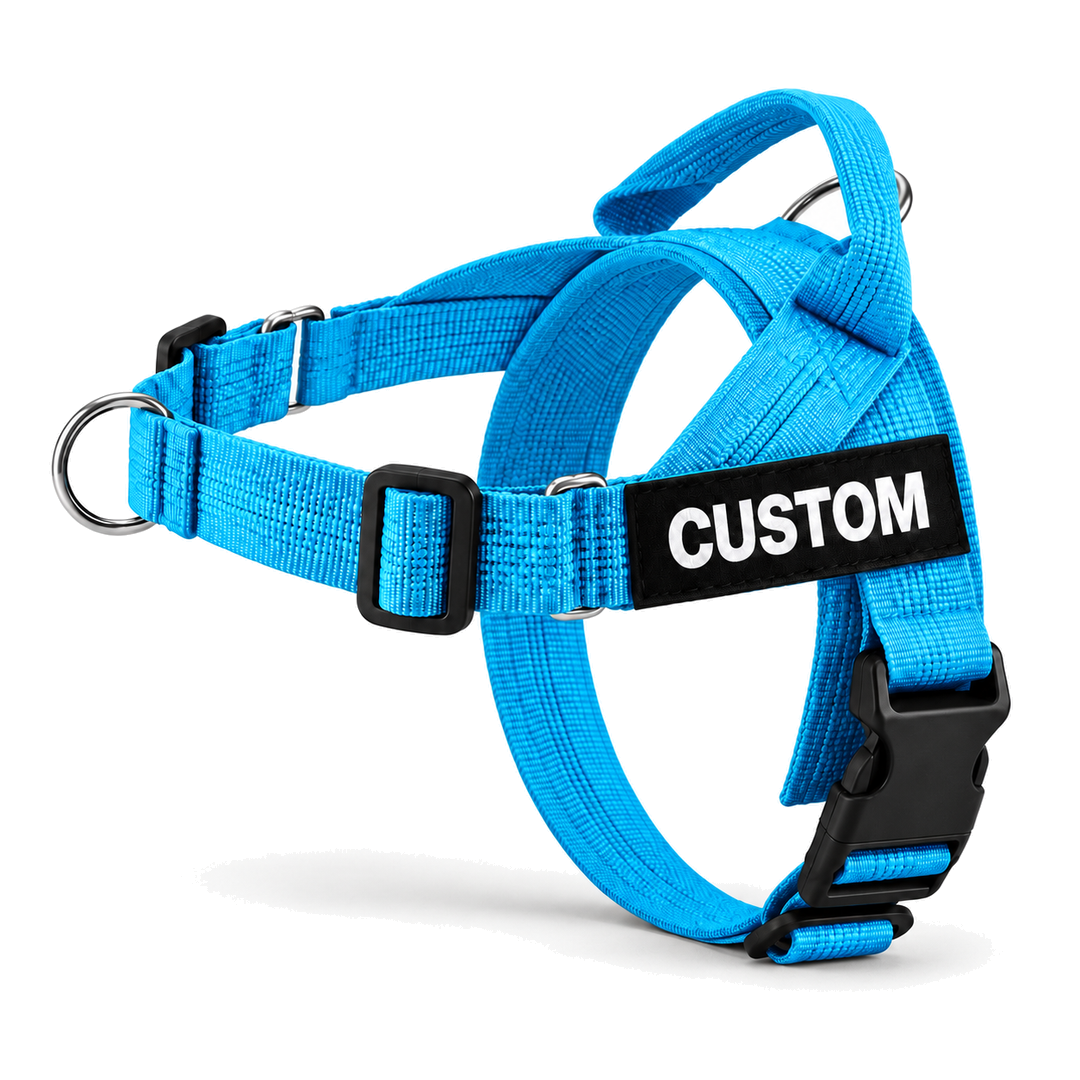 No-Pull Dog Harness with Front & Back Clip, Grab Handle and Quick-Release Buckle