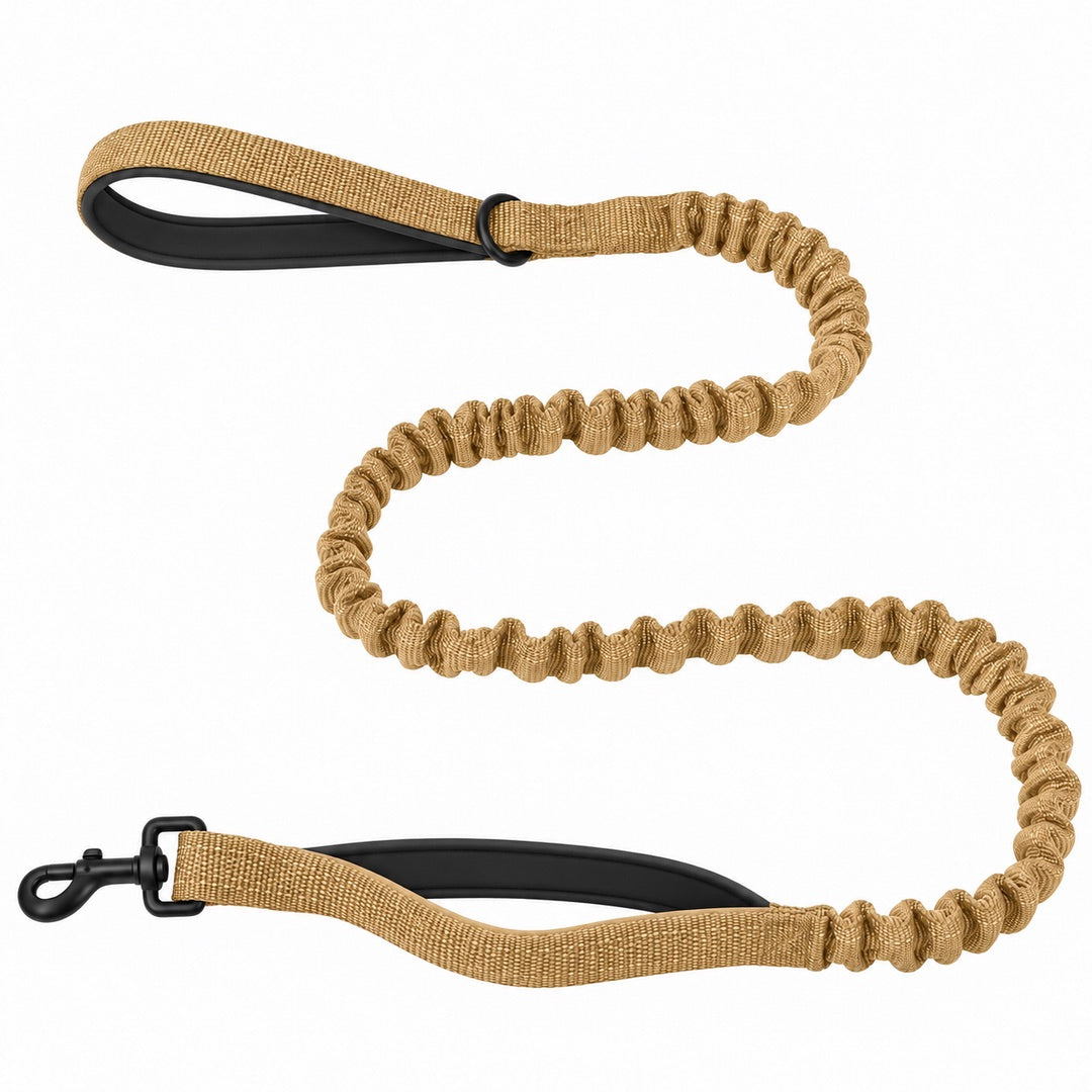 Bungee Dog Leash