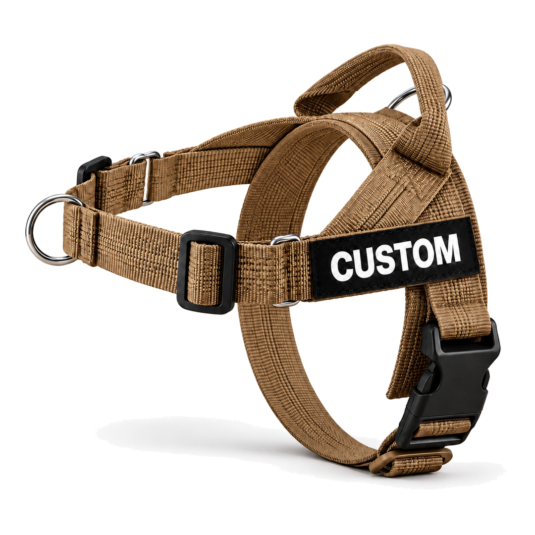 No-Pull Dog Harness with Front & Back Clip, Grab Handle and Quick-Release Buckle