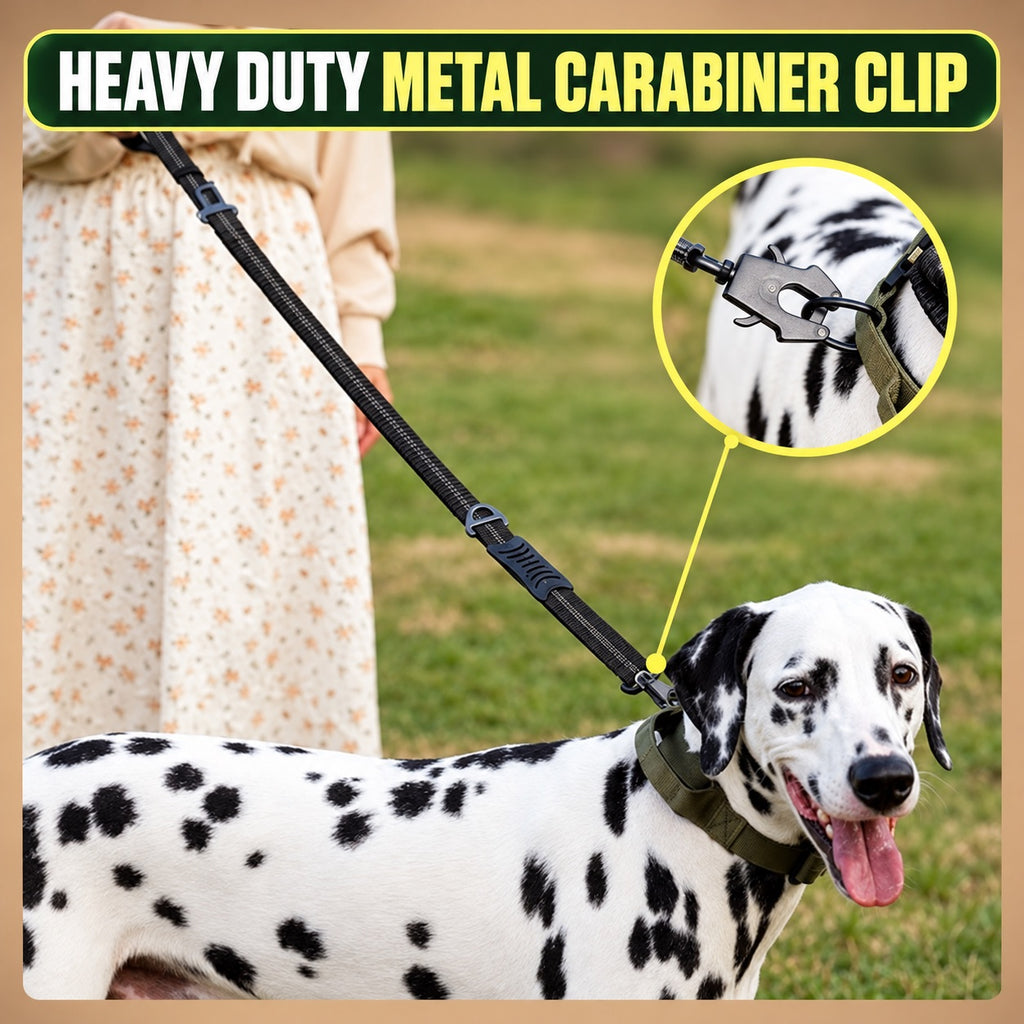 Bungee Dog Leash with Car Seatbelt Clip – Reflective, Two Handles