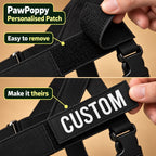 No-Pull Dog Harness with Front & Back Clip, Grab Handle and Quick-Release Buckle