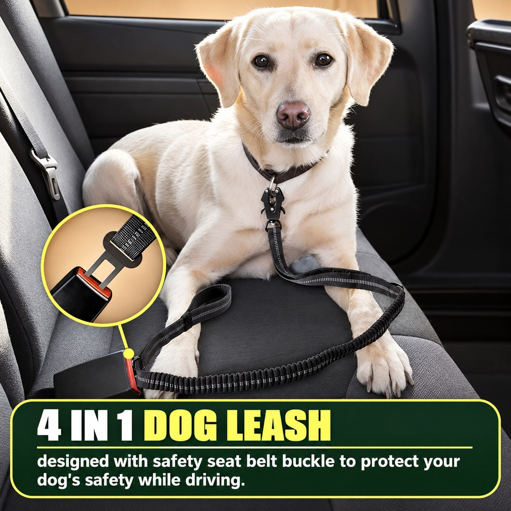 Bungee Dog Leash with Car Seatbelt Clip – Reflective, Two Handles