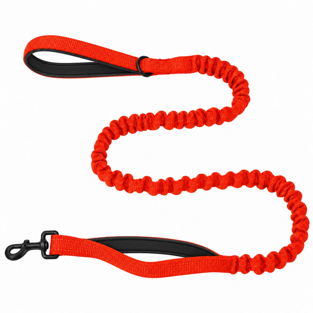 Bungee Dog Leash