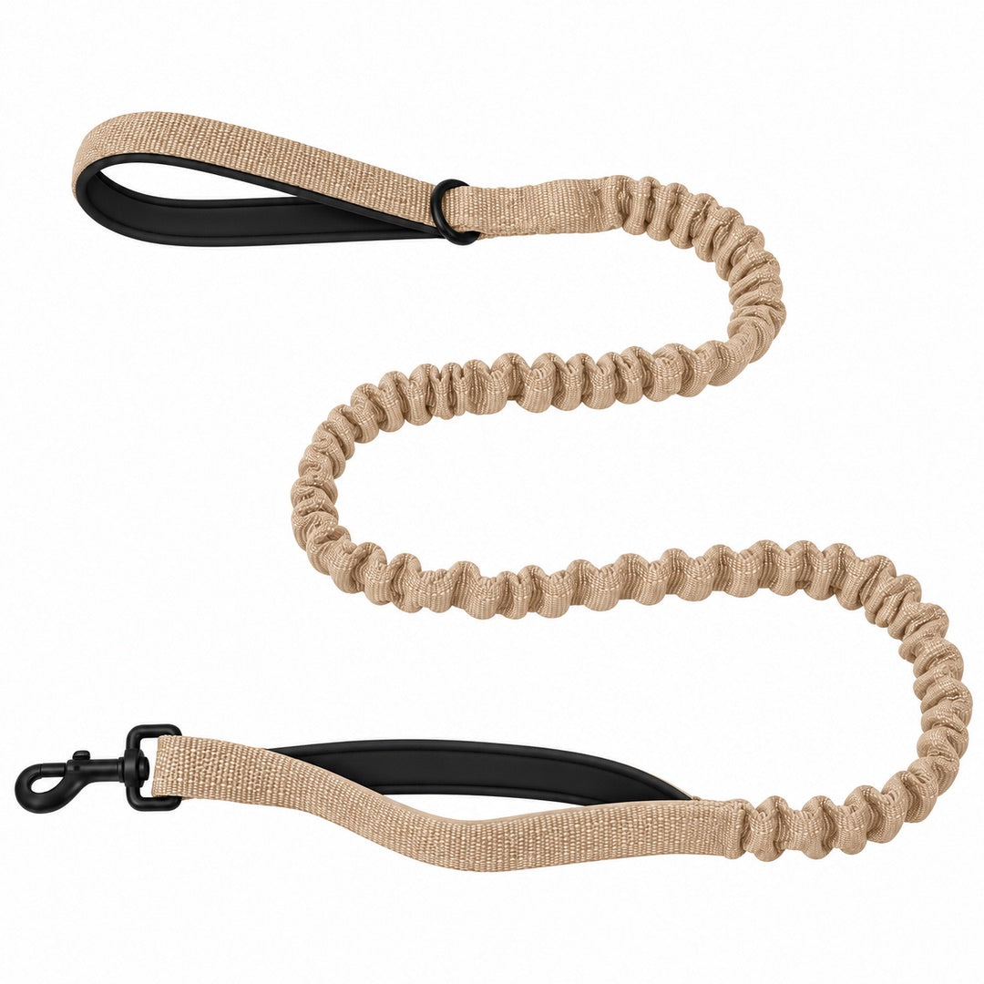 Bungee Dog Leash