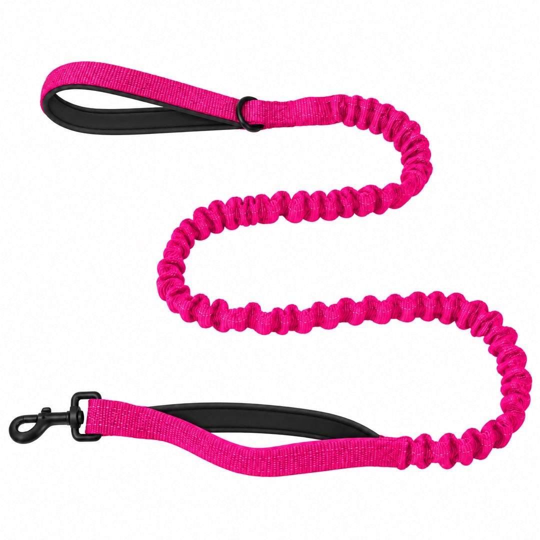 Bungee Dog Leash