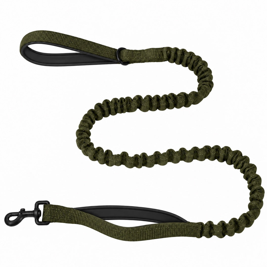 Bungee Dog Leash