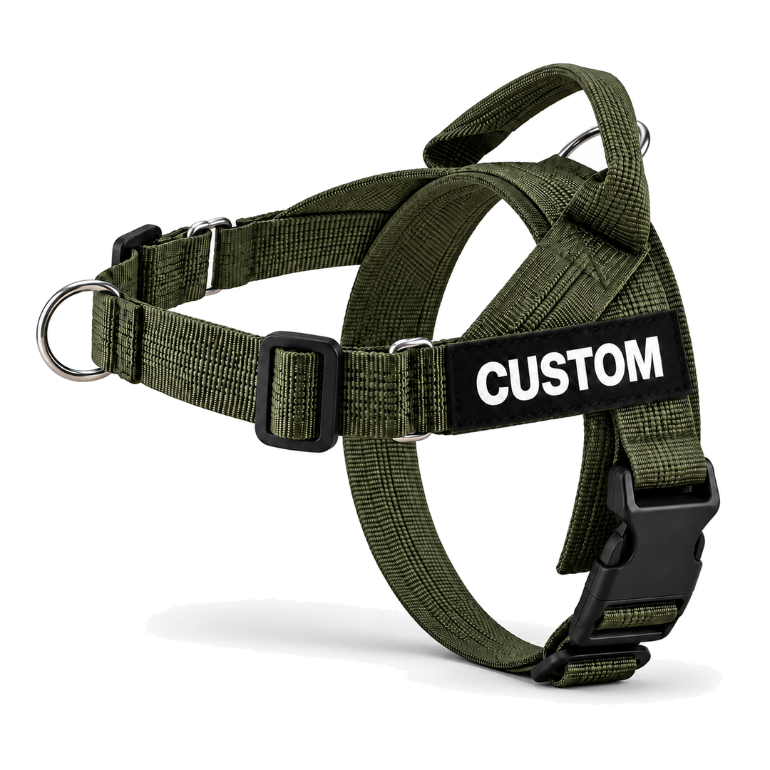 No-Pull Dog Harness with Front & Back Clip, Grab Handle and Quick-Release Buckle