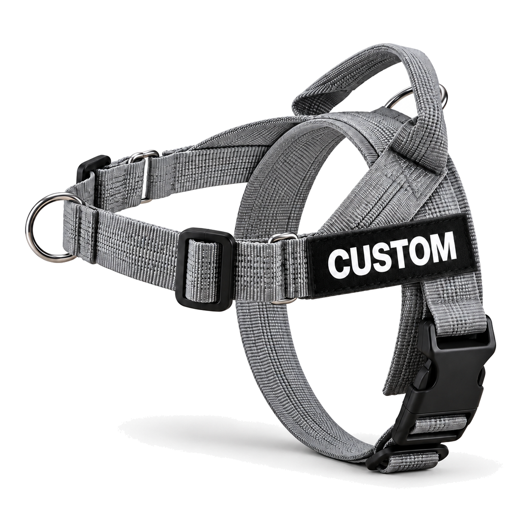 No-Pull Dog Harness with Front & Back Clip, Grab Handle and Quick-Release Buckle