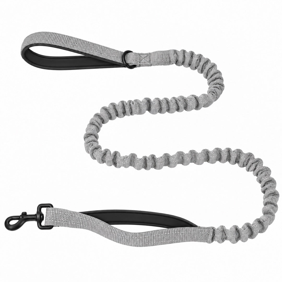 Bungee Dog Leash