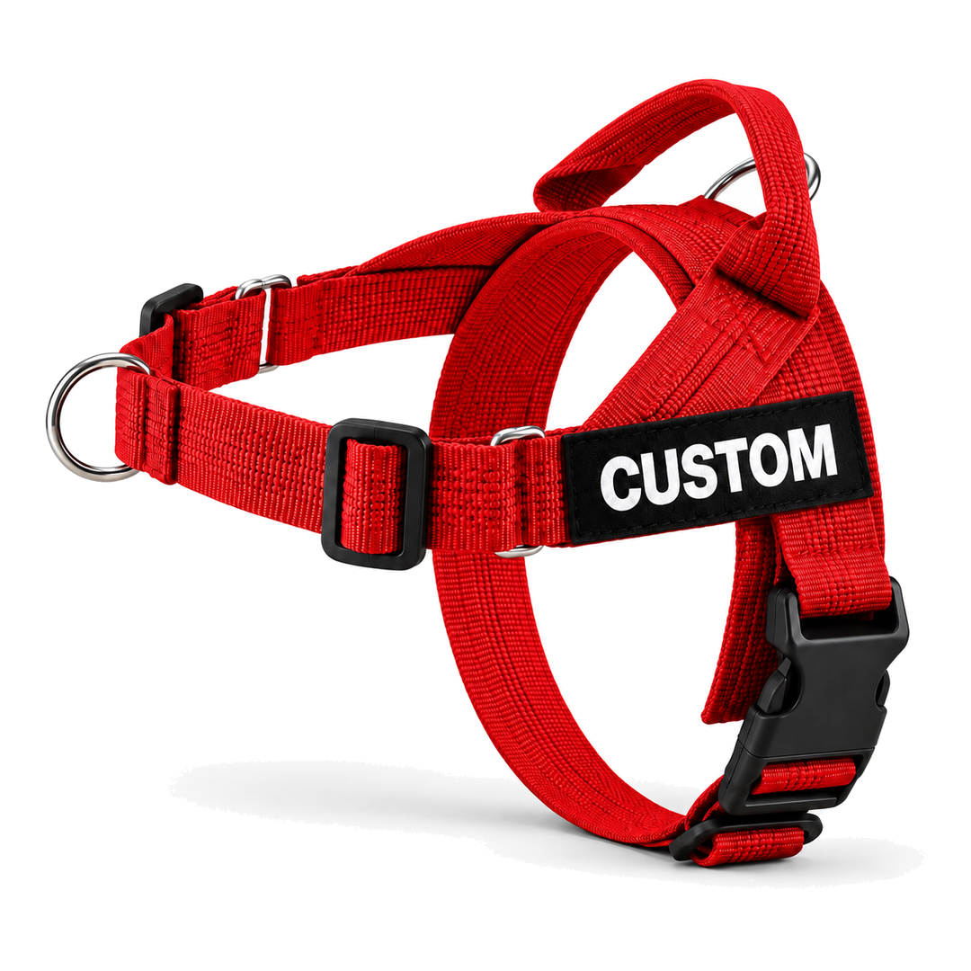 No-Pull Dog Harness with Front & Back Clip, Grab Handle and Quick-Release Buckle