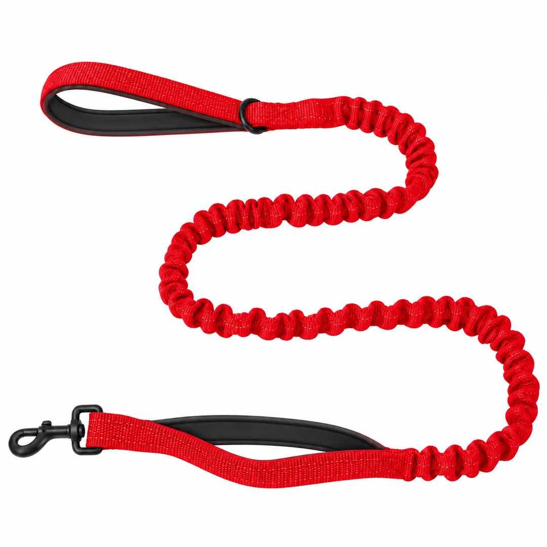 Bungee Dog Leash