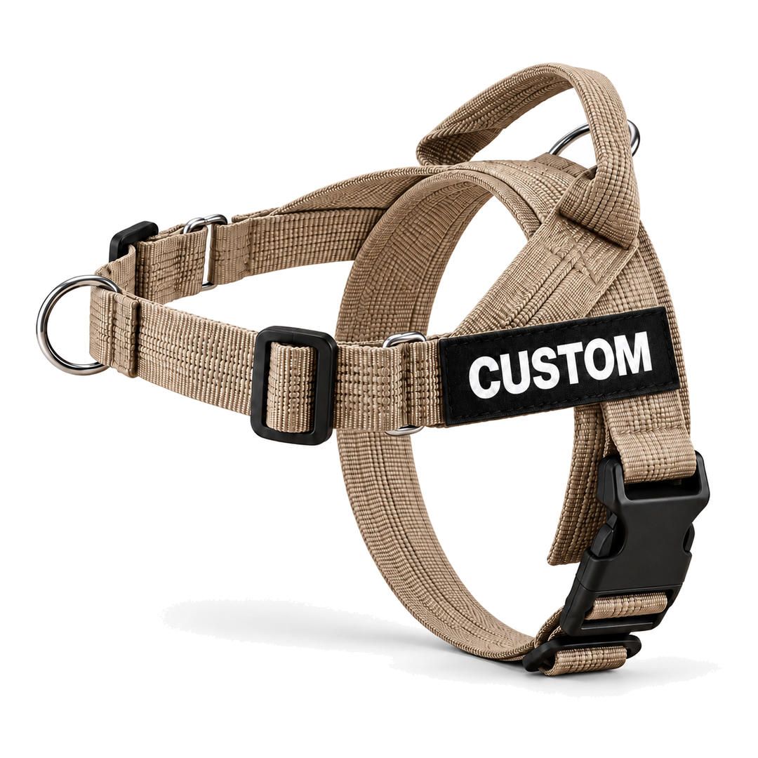 No-Pull Dog Harness with Front & Back Clip, Grab Handle and Quick-Release Buckle