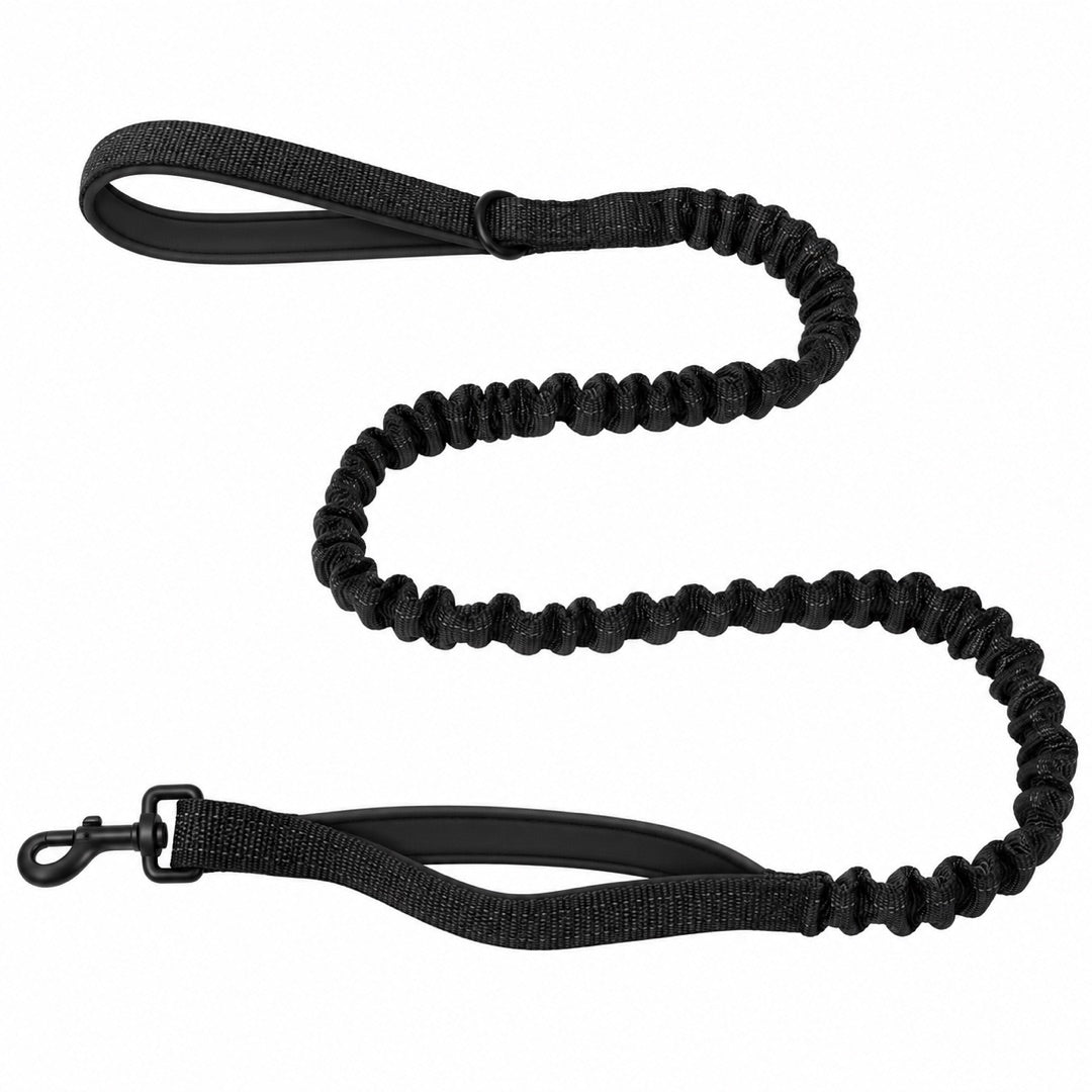 Bungee Dog Leash