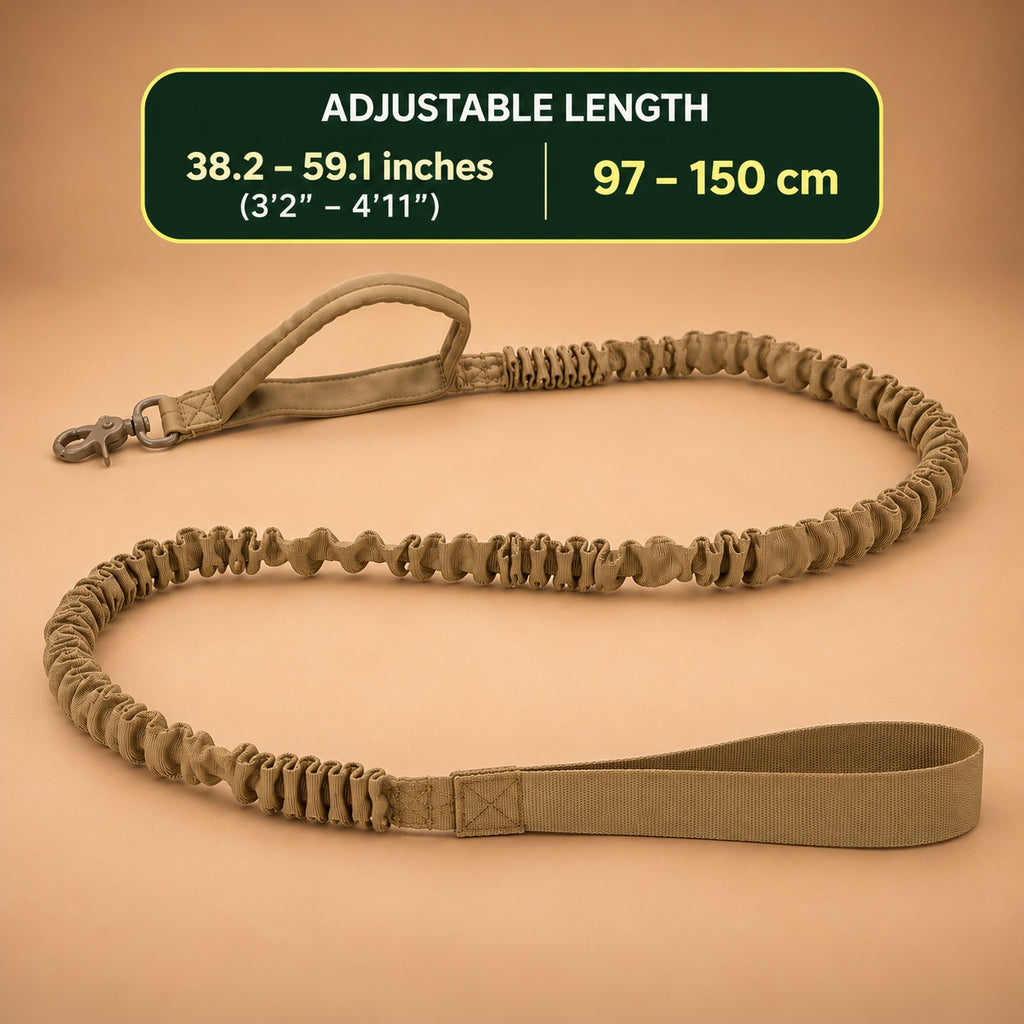 Bungee Dog Leash – Nylon Shock-Absorbing Lead with Swivel Clip & Two Handles