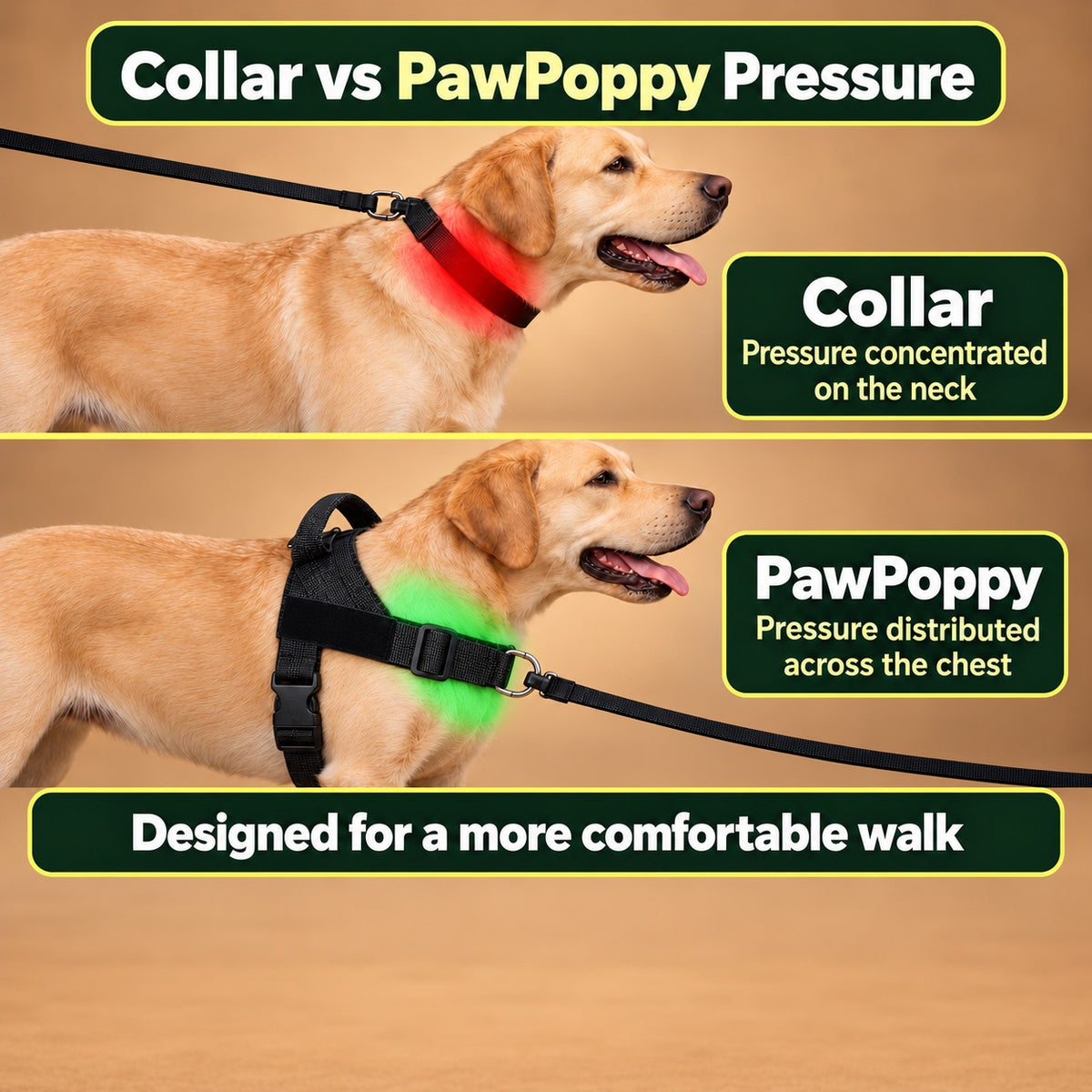 No-Pull Dog Harness with Front & Back Clip, Grab Handle and Quick-Release Buckle