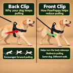 No-Pull Dog Harness with Front & Back Clip, Grab Handle and Quick-Release Buckle