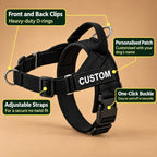 No-Pull Dog Harness with Front & Back Clip, Grab Handle and Quick-Release Buckle