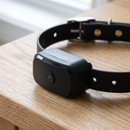 Close-up of GPS dog collar tracker unit and strap