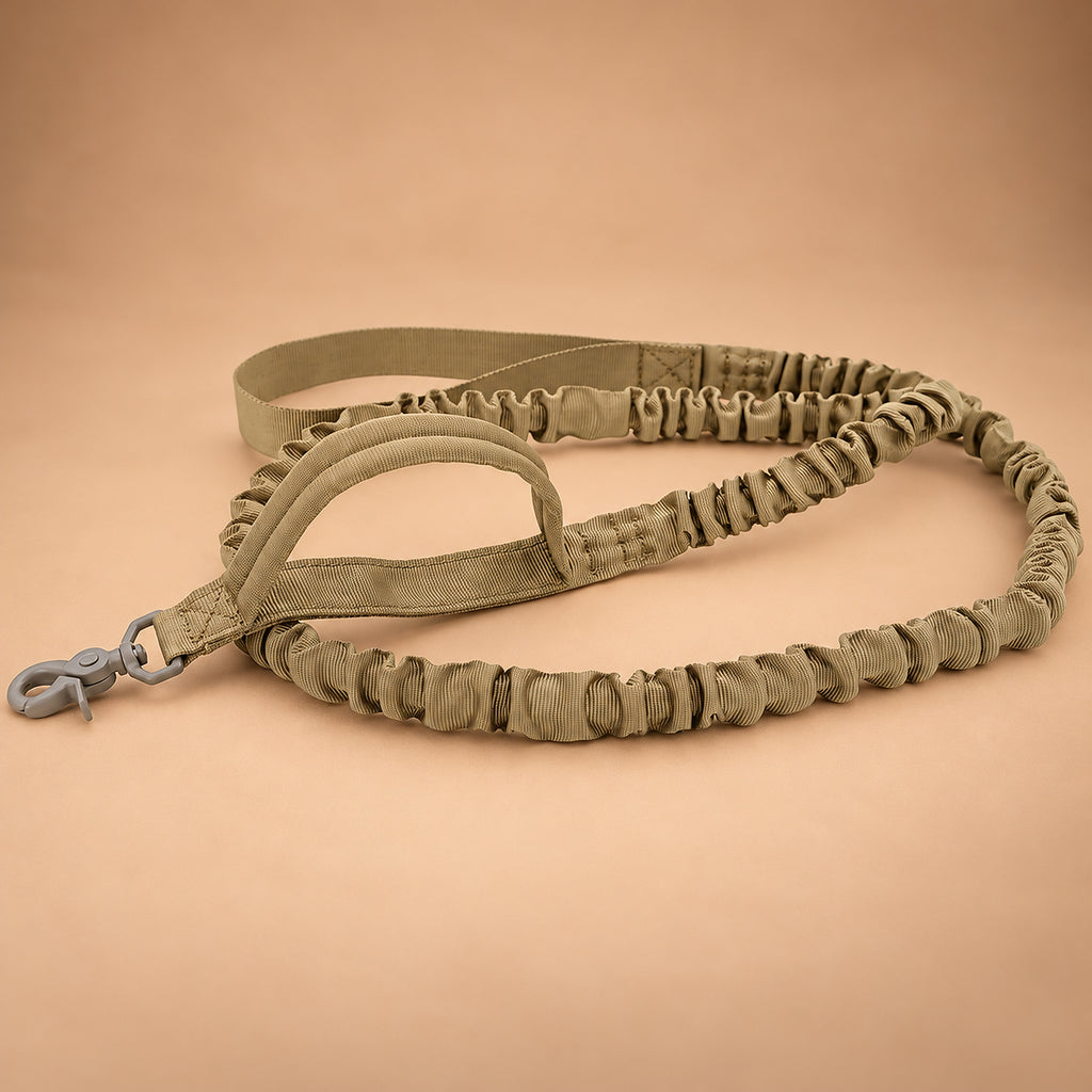 Bungee Dog Leash – Nylon Shock-Absorbing Lead with Swivel Clip & Two Handles