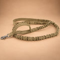 Bungee Dog Leash – Nylon Shock-Absorbing Lead with Swivel Clip & Two Handles