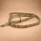 Bungee Dog Leash – Nylon Shock-Absorbing Lead with Swivel Clip & Two Handles