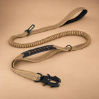 Bungee Dog Leash with Car Seatbelt Clip – Reflective, Two Handles
