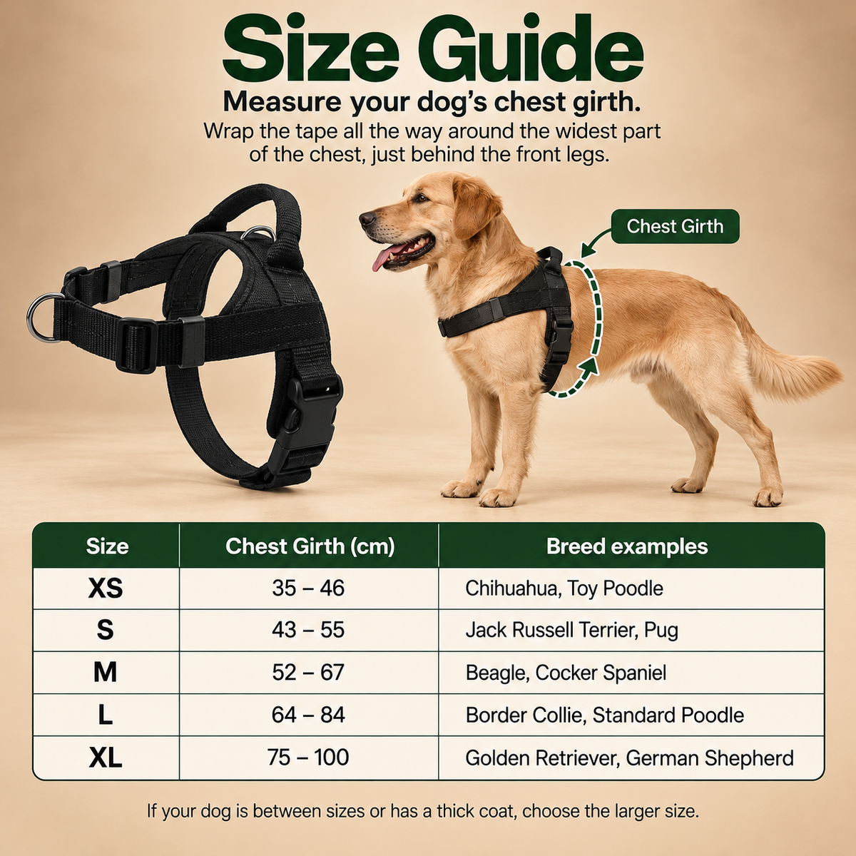 No-Pull Dog Harness with Front & Back Clip, Grab Handle and Quick-Release Buckle